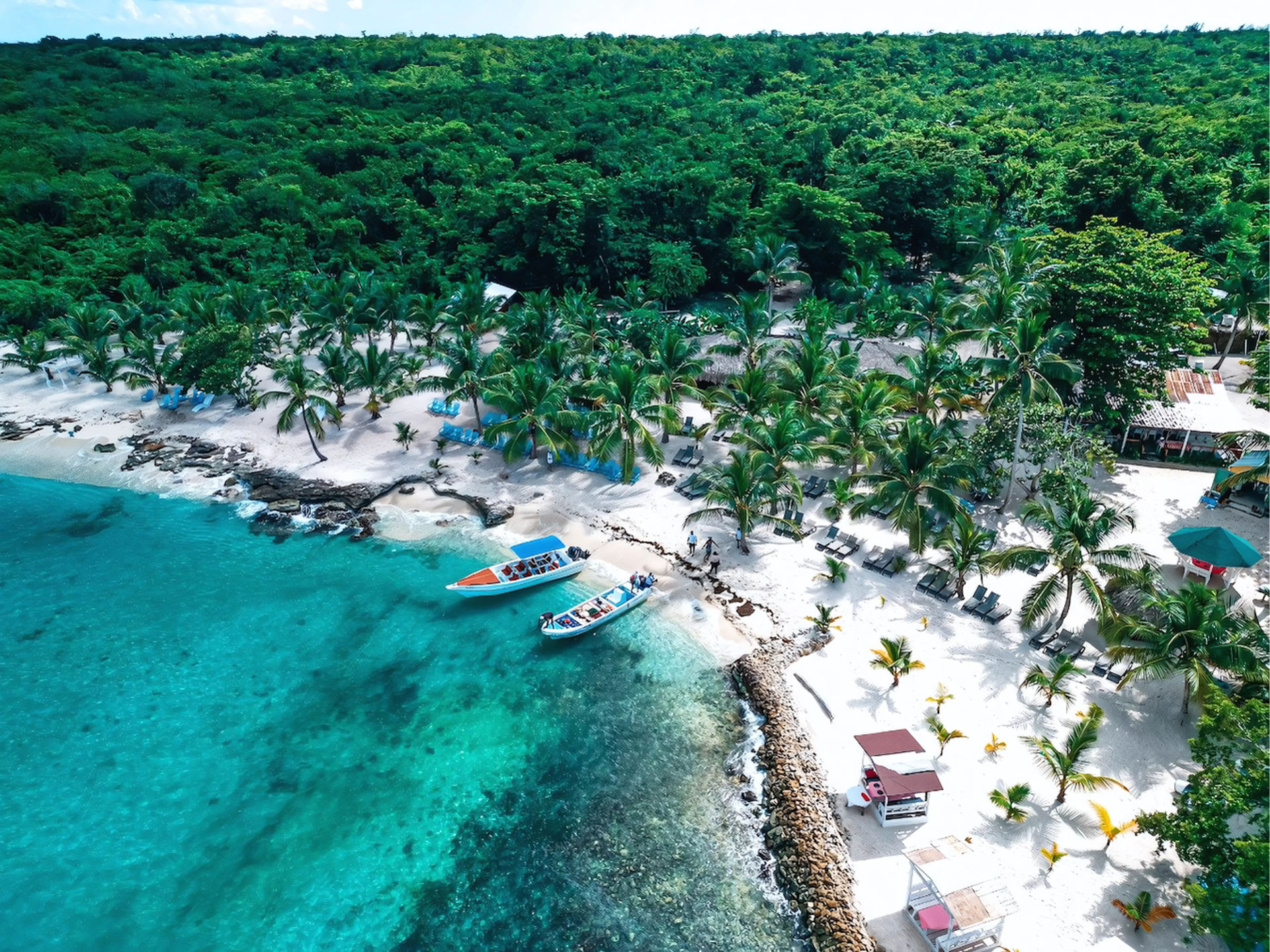 Isla Saona Speedboat Adventure with Lunch & Turtle Sanctuary Visit image 1
