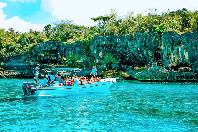 Isla Saona Speedboat Adventure with Lunch & Turtle Sanctuary Visit image 3