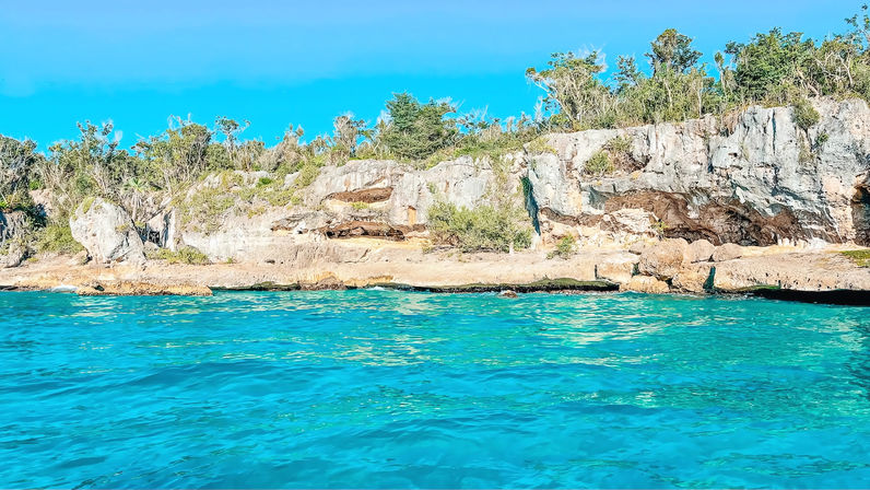 Isla Saona Speedboat Adventure with Lunch & Turtle Sanctuary Visit image 10
