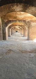 Dry Tortugas National Park Private Boat Charter image 11