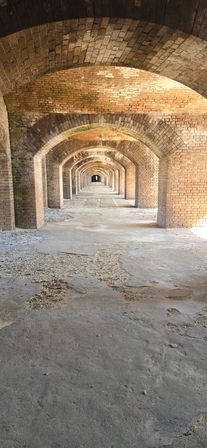 Dry Tortugas National Park Private Boat Charter image 11