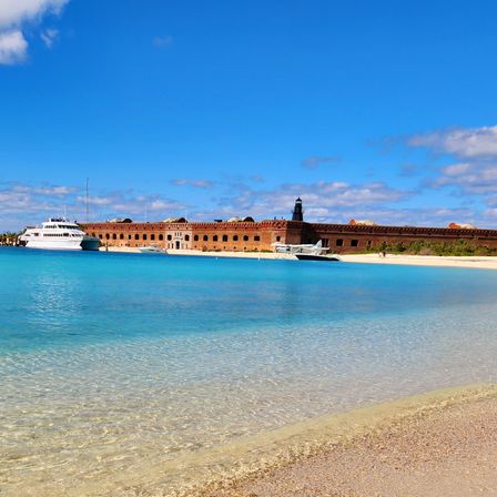 Dry Tortugas National Park Private Boat Charter image 9