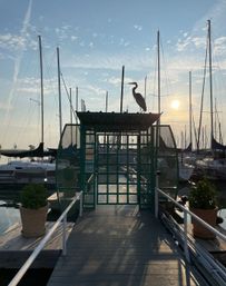 Private Luxury Sailboat Charter with Sunset Views & BYOB (Up to 10 Passengers) image 5