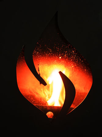 Mobile Sauna & Cold Plunge: Private Wellness Experience image 6