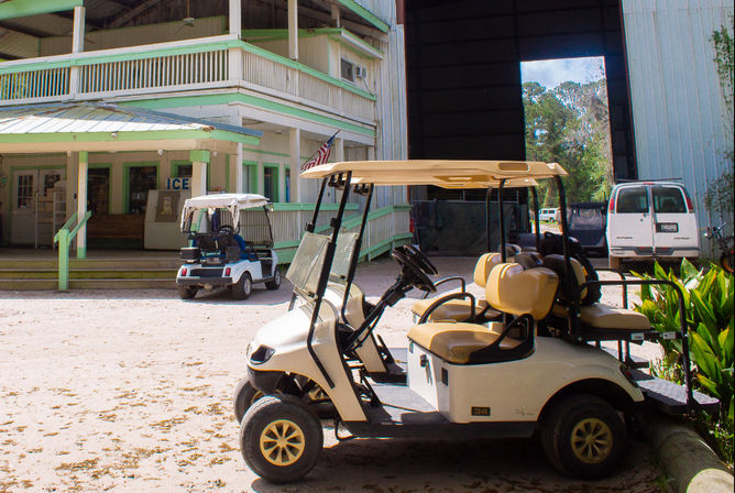 Daufuskie Island Day Trip: Ferry, Golf-Cart and Food! image 5