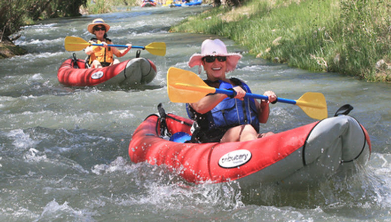 Vines & Vistas: Kayaking and Wine Experience image 1