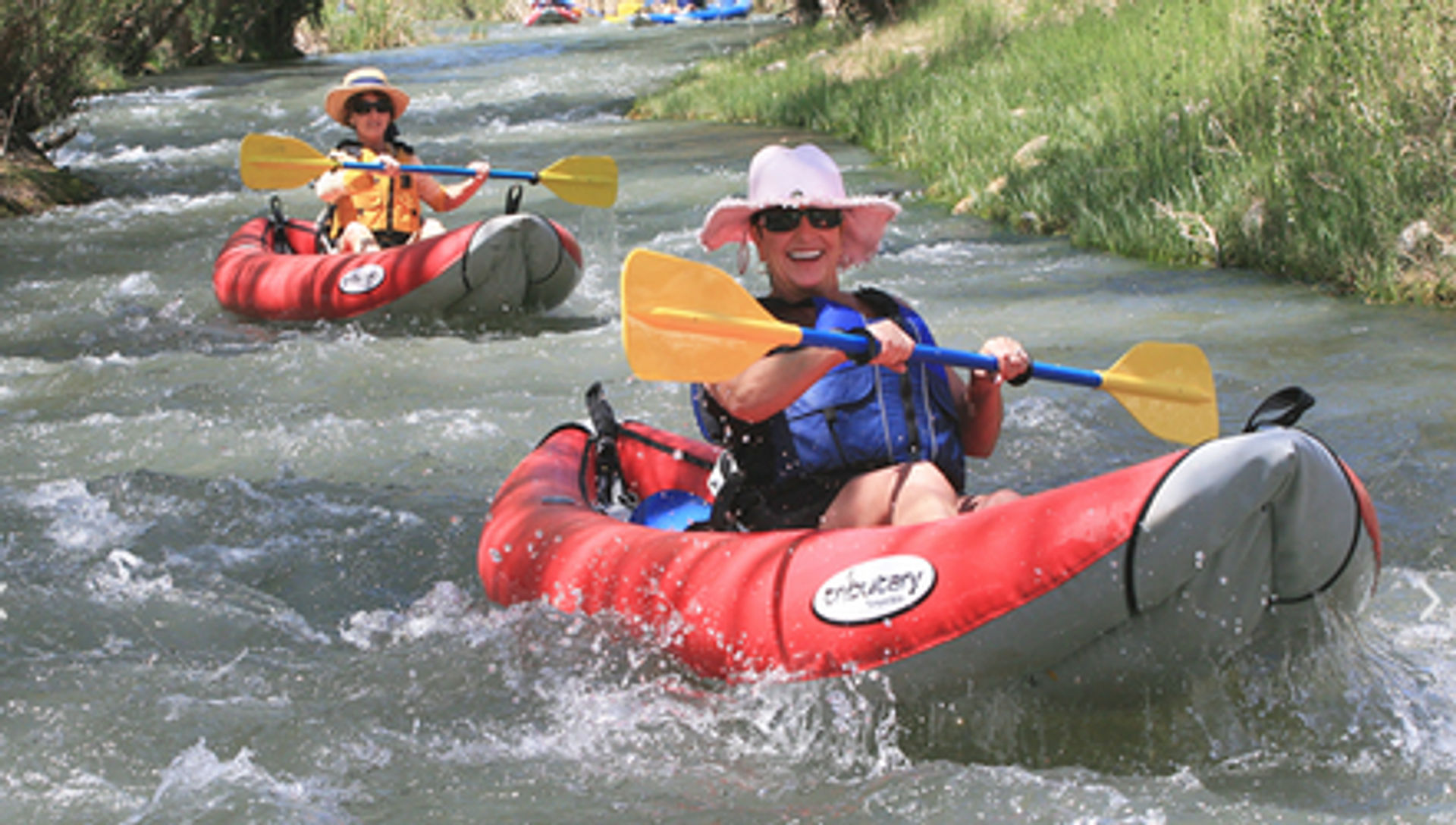 Vines & Vistas: Kayaking and Wine Experience image 1