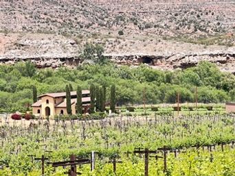 Vines & Vistas: Kayaking and Wine Experience image 3