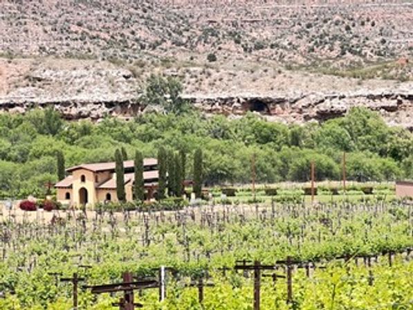 Vines & Vistas: Kayaking and Wine Experience image 3
