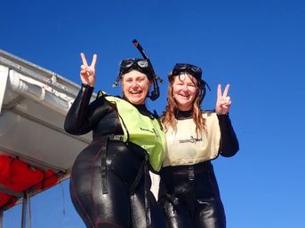 Private Manatee Swim Adventure image 3