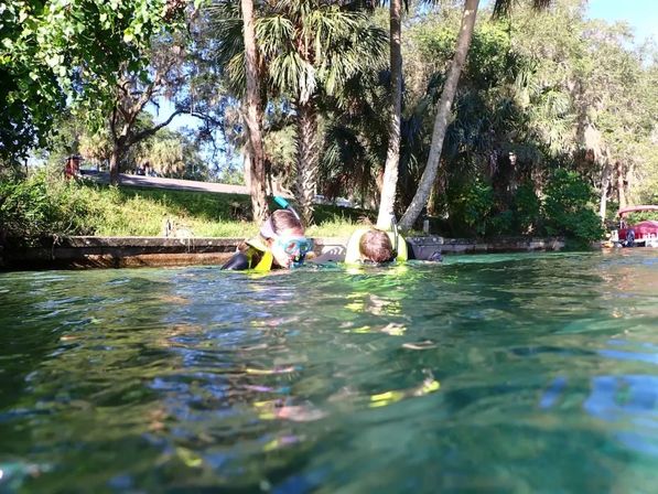 Private Manatee Swim Adventure image 6