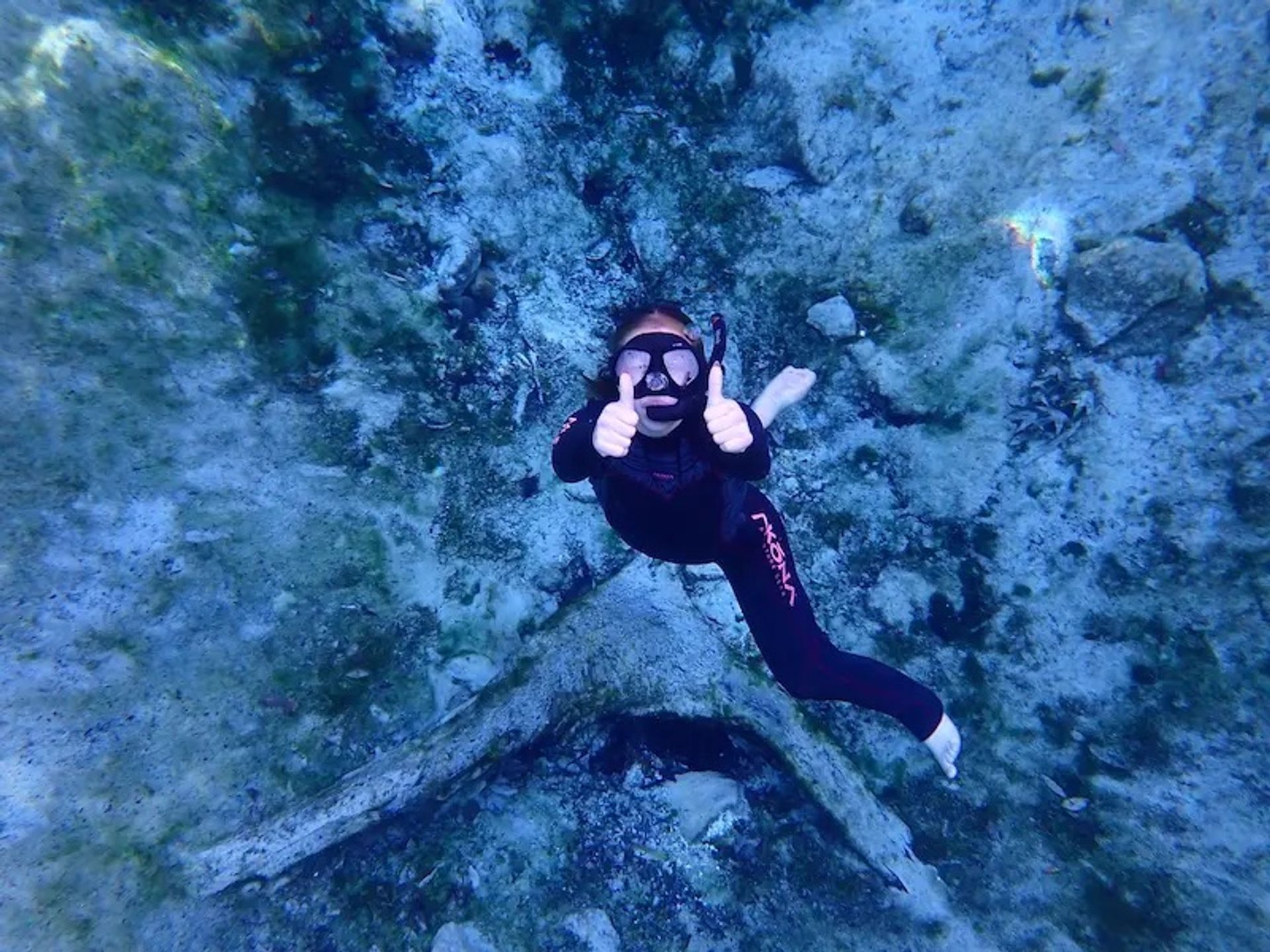 Private Manatee Swim and Boat Tour to Snorkel with Manatees & Explore Crystal River image 2
