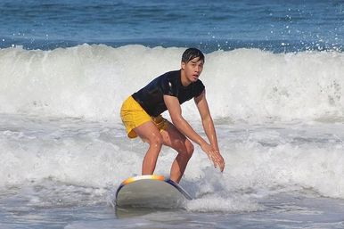 Surf Tour of Malibu Beach in a Vintage VW Van with Marine Life Spotting image 9