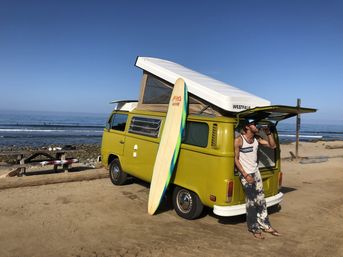 Surf Tour of Malibu Beach in a Vintage VW Van with Marine Life Spotting image 5