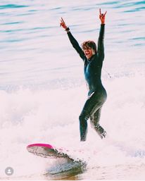 Surf Tour of Malibu Beach in a Vintage VW Van with Marine Life Spotting image 3