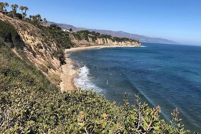 Surf Tour of Malibu Beach in a Vintage VW Van with Marine Life Spotting image 8