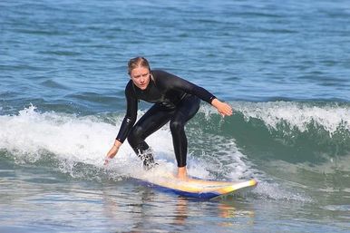 Surf Tour of Malibu Beach in a Vintage VW Van with Marine Life Spotting image 10