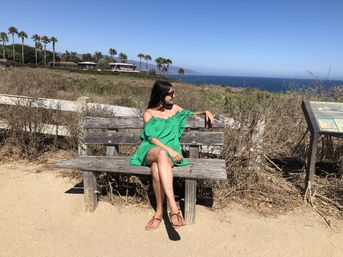 Surf Tour of Malibu Beach in a Vintage VW Van with Marine Life Spotting image 6