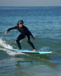 Surf Tour of Malibu Beach in a Vintage VW Van with Marine Life Spotting image 12