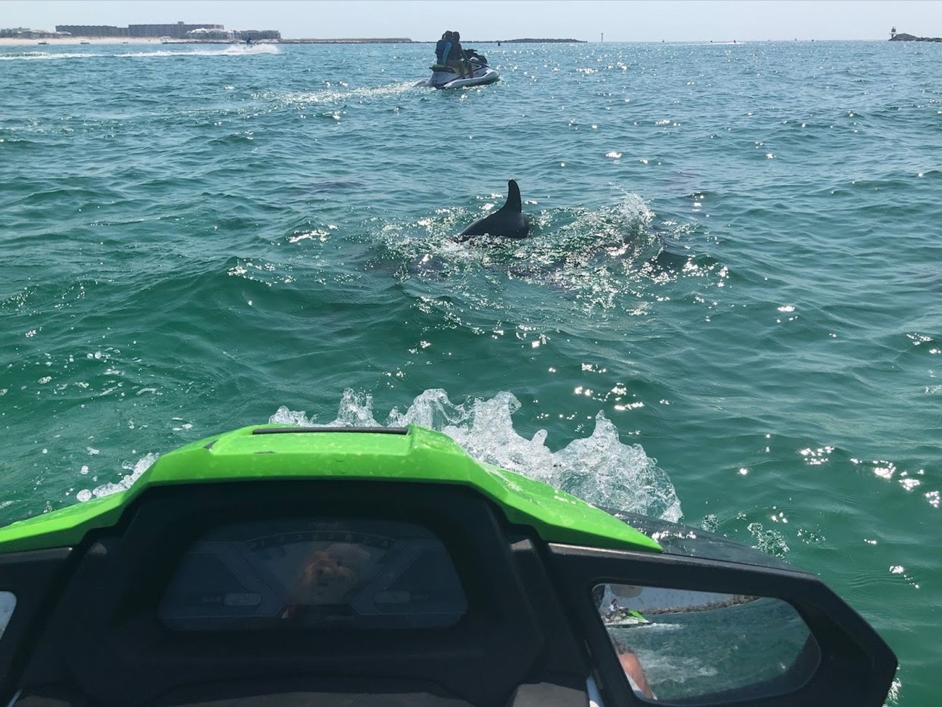 Jet Ski Dolphin Tour with Gilligan's Watersports image 2