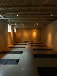 Private Pilates Party with Mats & Equipment Provided image 4