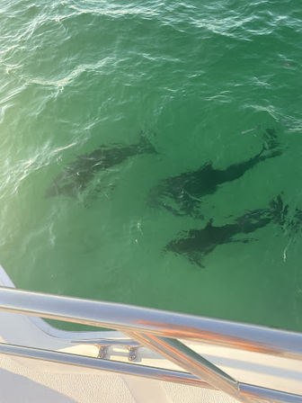 Luxury Yacht Cruise Party to Crab Island (Up to 12 People) image 9