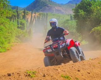 Incredible Excursions, Tours & Boat Rentals in Cabo image 95