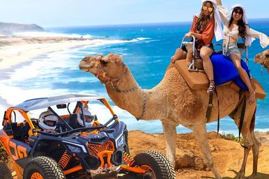 Incredible Excursions, Tours & Boat Rentals in Cabo image 120