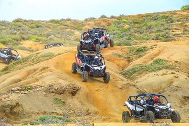 Incredible Excursions, Tours & Boat Rentals in Cabo image 116