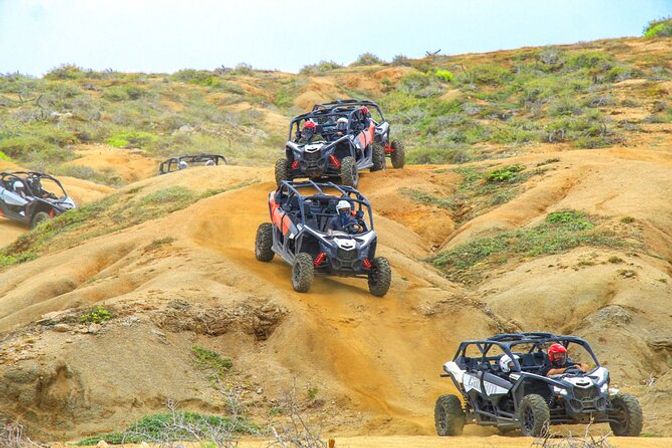 Incredible Excursions, Tours & Boat Rentals in Cabo image 116