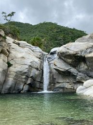 Incredible Excursions, Tours & Boat Rentals in Cabo image 130