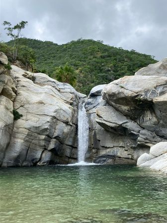 Incredible Excursions, Tours & Boat Rentals in Cabo image 130