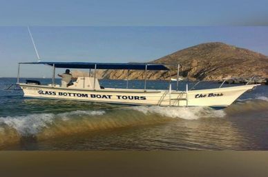 Incredible Excursions, Tours & Boat Rentals in Cabo image 184