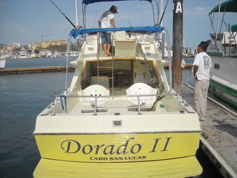 Incredible Excursions, Tours & Boat Rentals in Cabo image 194