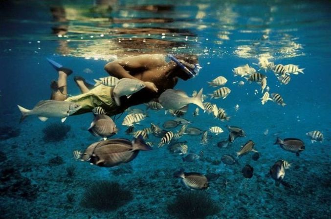 Incredible Excursions, Tours & Boat Rentals in Cabo image 188