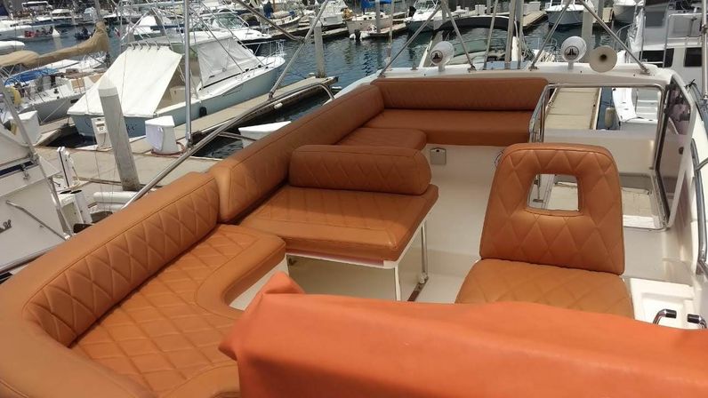 Incredible Excursions, Tours & Boat Rentals in Cabo image 19