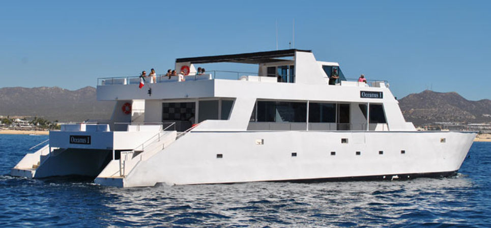 Incredible Excursions, Tours & Boat Rentals in Cabo image 138