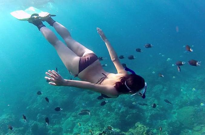 Incredible Excursions, Tours & Boat Rentals in Cabo image 217