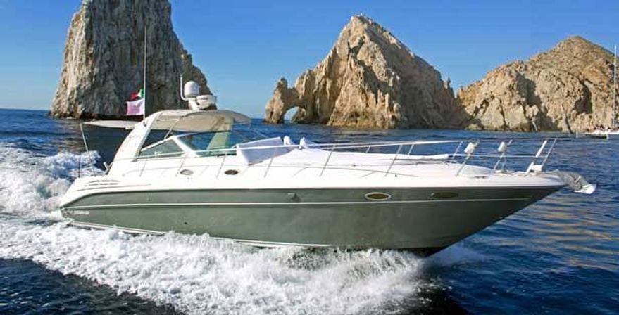 Incredible Excursions, Tours & Boat Rentals in Cabo image 142