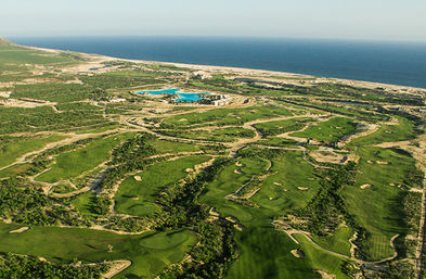 Incredible Excursions, Tours & Boat Rentals in Cabo image 122