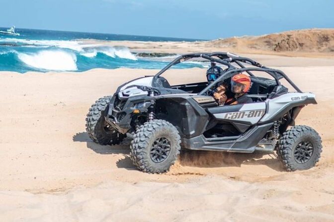 Incredible Excursions, Tours & Boat Rentals in Cabo image 108