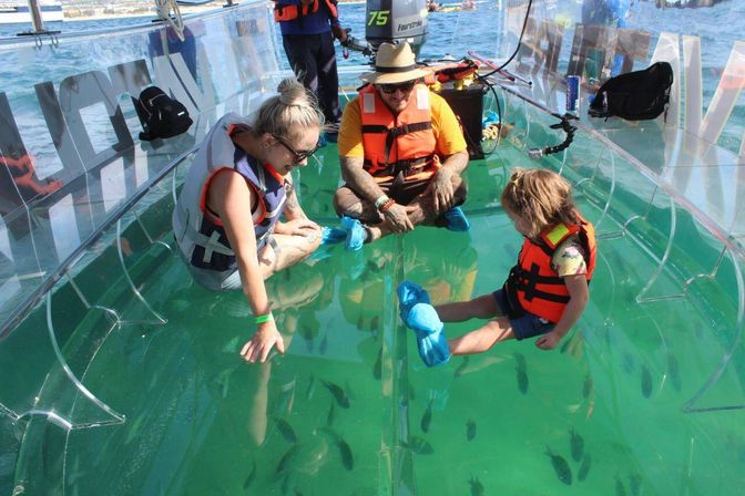 Incredible Excursions, Tours & Boat Rentals in Cabo image 34