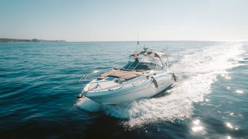 Incredible Excursions, Tours & Boat Rentals in Cabo image 83