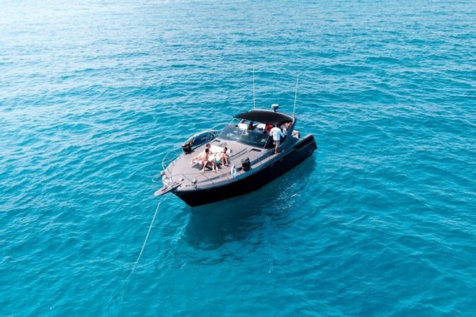 Incredible Excursions, Tours & Boat Rentals in Cabo image 136