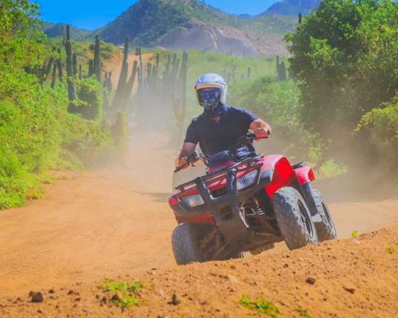Incredible Excursions, Tours & Boat Rentals in Cabo image 94
