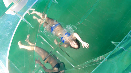 Incredible Excursions, Tours & Boat Rentals in Cabo image 181