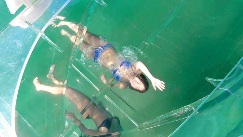 Incredible Excursions, Tours & Boat Rentals in Cabo image 181