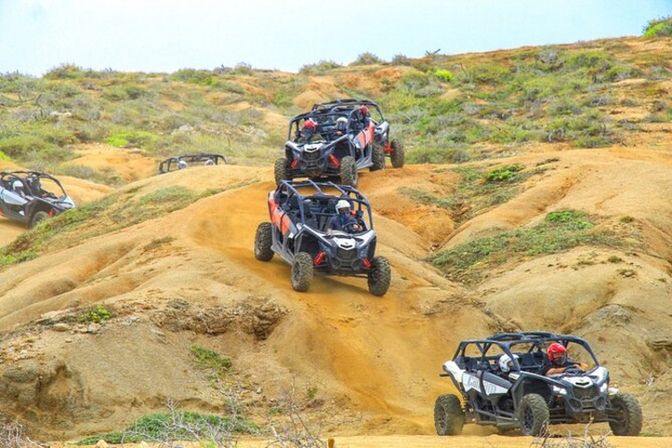Incredible Excursions, Tours & Boat Rentals in Cabo image 111