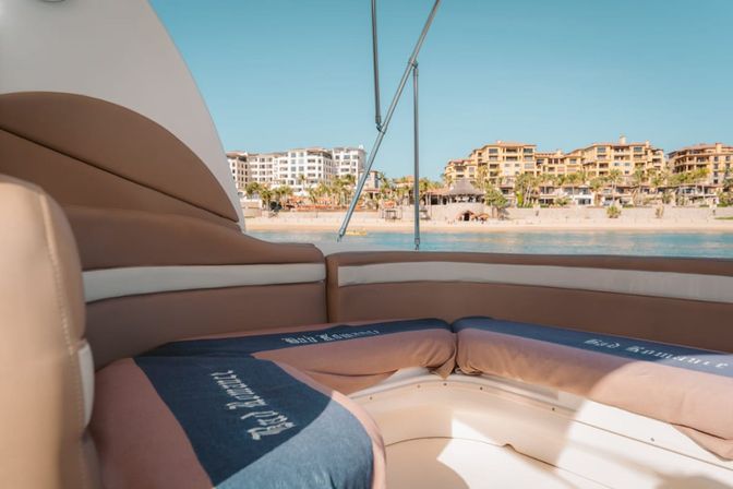 Incredible Excursions, Tours & Boat Rentals in Cabo image 85