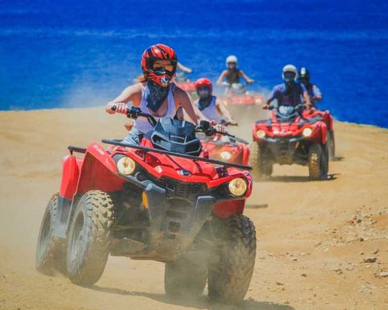 Incredible Excursions, Tours & Boat Rentals in Cabo image 99